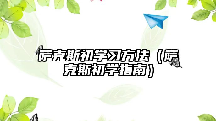 薩克斯初學(xué)習(xí)方法（薩克斯初學(xué)指南）