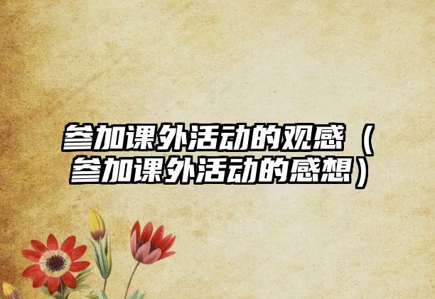 參加課外活動的觀感（參加課外活動的感想）