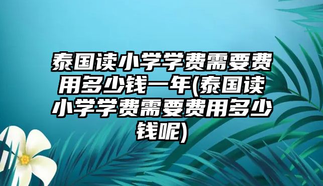 泰國讀小學(xué)學(xué)費需要費用多少錢一年(泰國讀小學(xué)學(xué)費需要費用多少錢呢)