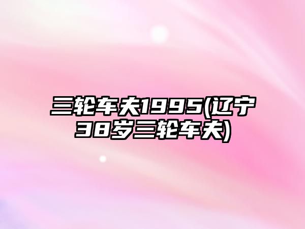 三輪車夫1995(遼寧38歲三輪車夫)