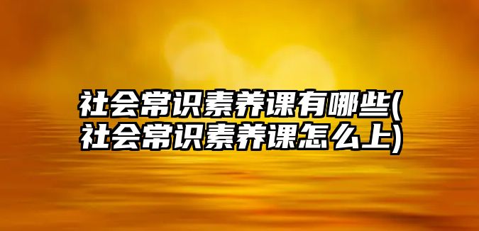 社會(huì)常識(shí)素養(yǎng)課有哪些(社會(huì)常識(shí)素養(yǎng)課怎么上)