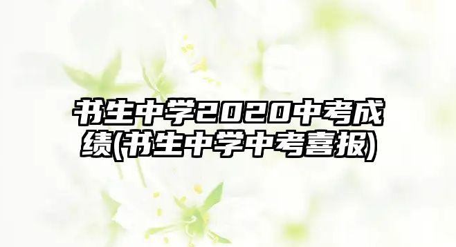 書(shū)生中學(xué)2020中考成績(jī)(書(shū)生中學(xué)中考喜報(bào))