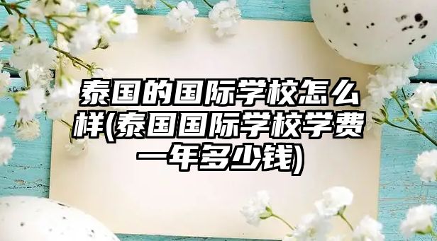 泰國的國際學校怎么樣(泰國國際學校學費一年多少錢)