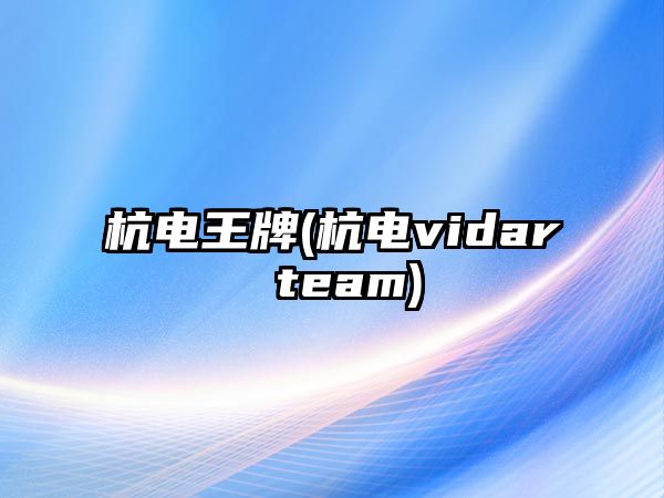 杭電王牌(杭電vidar team)