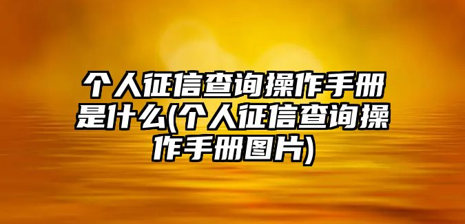 個人征信查詢操作手冊是什么(個人征信查詢操作手冊圖片)