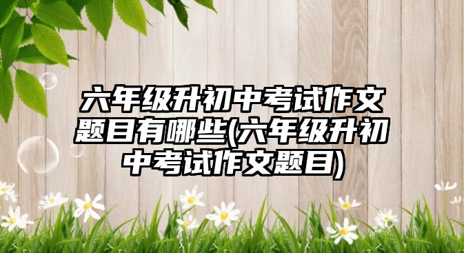 六年級升初中考試作文題目有哪些(六年級升初中考試作文題目)