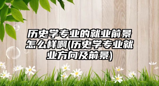 歷史學(xué)專業(yè)的就業(yè)前景怎么樣啊(歷史學(xué)專業(yè)就業(yè)方向及前景)