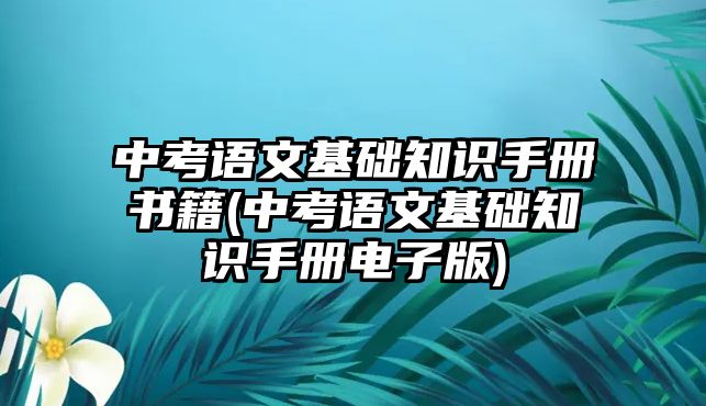 中考語文基礎知識手冊書籍(中考語文基礎知識手冊電子版)