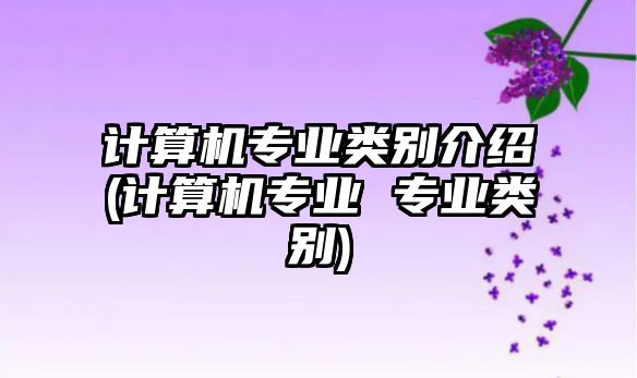 計算機專業(yè)類別介紹(計算機專業(yè) 專業(yè)類別)