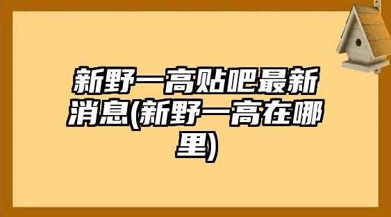 新野一高貼吧最新消息(新野一高在哪里)