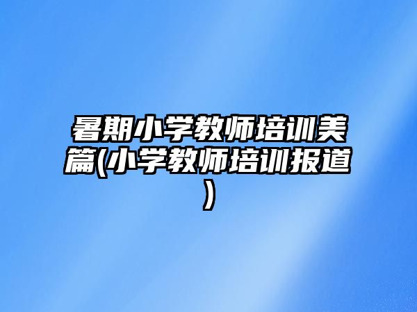 暑期小學教師培訓美篇(小學教師培訓報道)