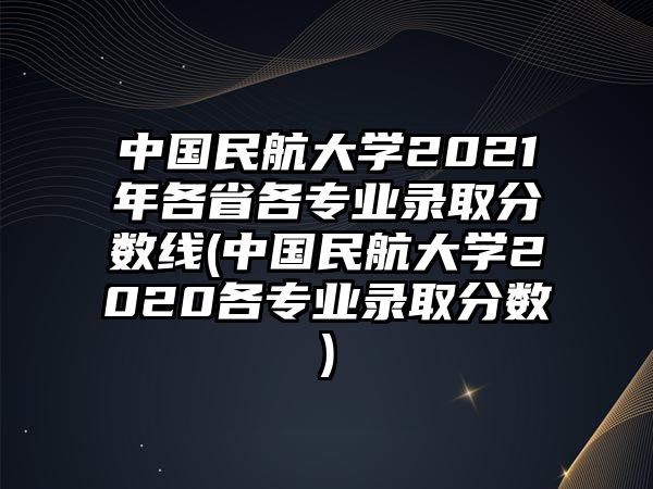 中國(guó)民航大學(xué)2021年各省各專業(yè)錄取分?jǐn)?shù)線(中國(guó)民航大學(xué)2020各專業(yè)錄取分?jǐn)?shù))