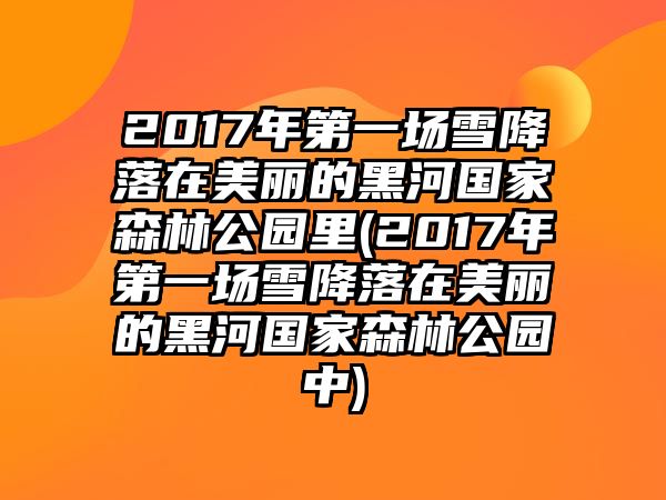 2017年第一場(chǎng)雪降落在美麗的黑河國(guó)家森林公園里(2017年第一場(chǎng)雪降落在美麗的黑河國(guó)家森林公園中)