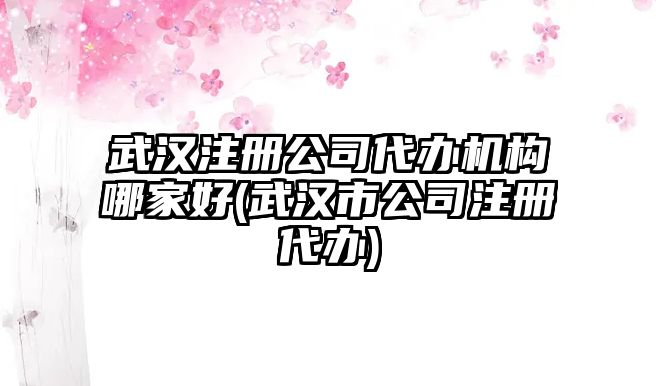 武漢注冊(cè)公司代辦機(jī)構(gòu)哪家好(武漢市公司注冊(cè)代辦)