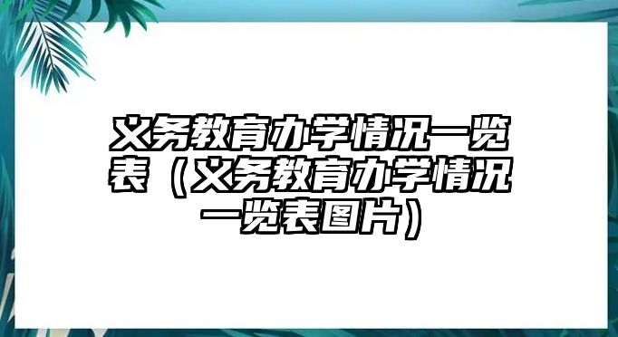 義務(wù)教育辦學(xué)情況一覽表（義務(wù)教育辦學(xué)情況一覽表圖片）