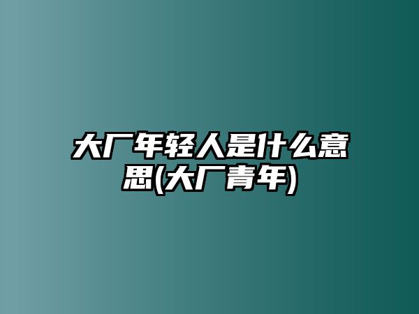 大廠年輕人是什么意思(大廠青年)