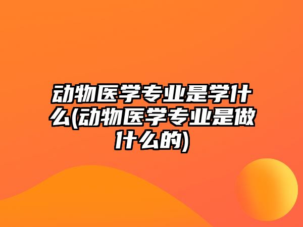 動(dòng)物醫(yī)學(xué)專業(yè)是學(xué)什么(動(dòng)物醫(yī)學(xué)專業(yè)是做什么的)