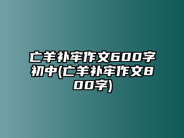 亡羊補(bǔ)牢作文600字初中(亡羊補(bǔ)牢作文800字)