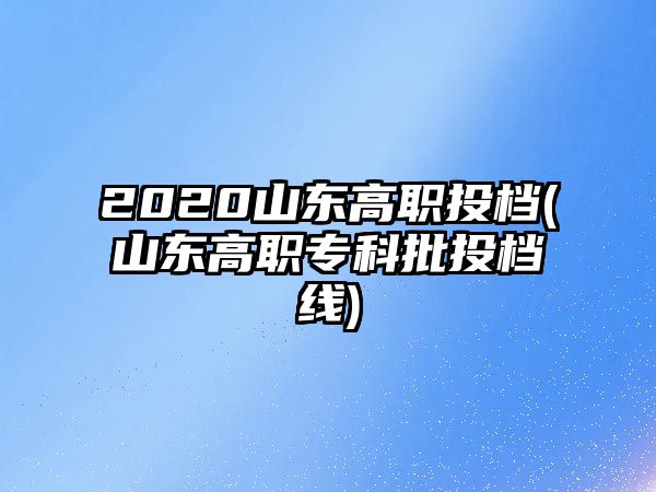 2020山東高職投檔(山東高職?？婆稒n線)