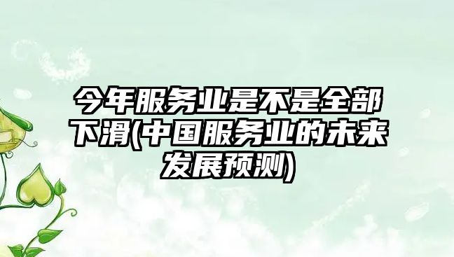 今年服務(wù)業(yè)是不是全部下滑(中國服務(wù)業(yè)的未來發(fā)展預(yù)測)