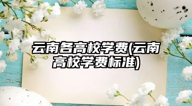 云南各高校學(xué)費(云南高校學(xué)費標(biāo)準(zhǔn))