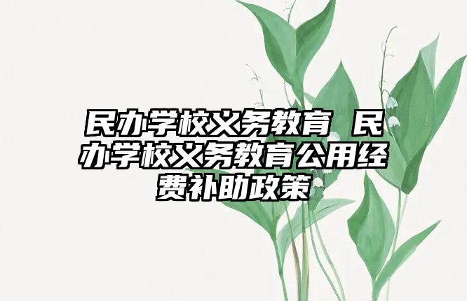 民辦學(xué)校義務(wù)教育 民辦學(xué)校義務(wù)教育公用經(jīng)費補助政策