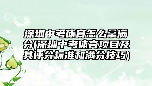 深圳中考體育怎么拿滿分(深圳中考體育項目及其評分標準和滿分技巧)