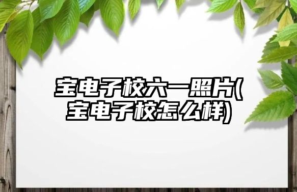 寶電子校六一照片(寶電子校怎么樣)