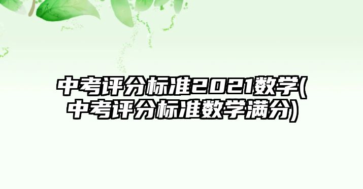 中考評分標(biāo)準(zhǔn)2021數(shù)學(xué)(中考評分標(biāo)準(zhǔn)數(shù)學(xué)滿分)