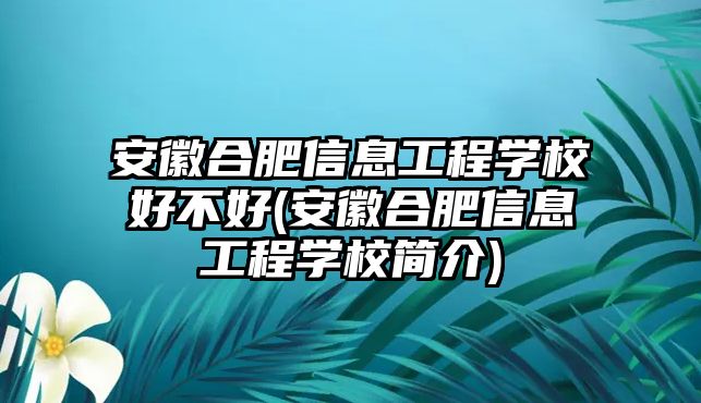 安徽合肥信息工程學(xué)校好不好(安徽合肥信息工程學(xué)校簡介)