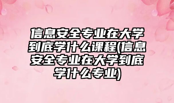 信息安全專業(yè)在大學到底學什么課程(信息安全專業(yè)在大學到底學什么專業(yè))