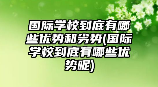 國際學校到底有哪些優(yōu)勢和劣勢(國際學校到底有哪些優(yōu)勢呢)