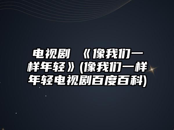 電視劇 《像我們一樣年輕》(像我們一樣年輕電視劇百度百科)