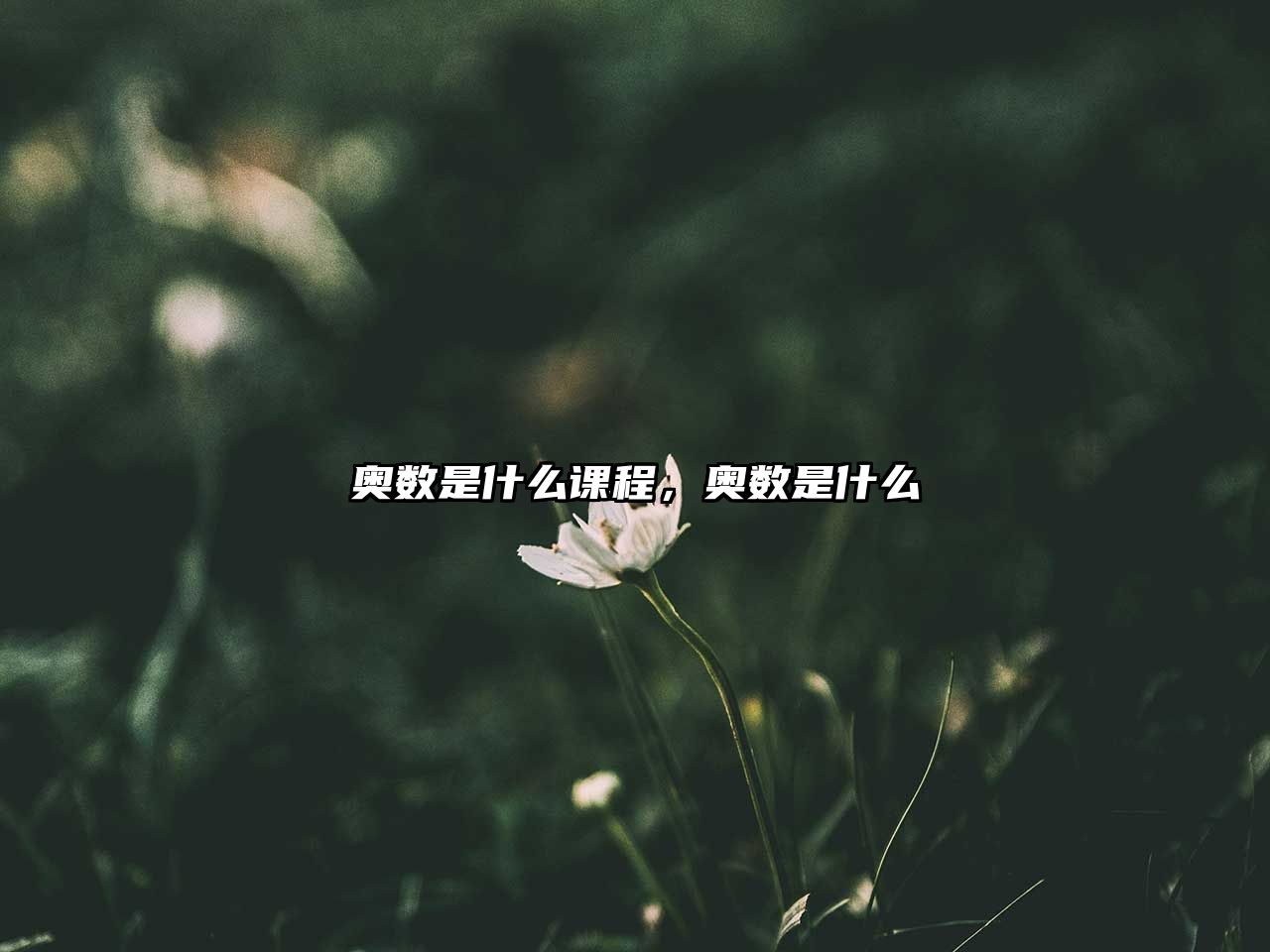 奧數(shù)是什么課程，奧數(shù)是什么