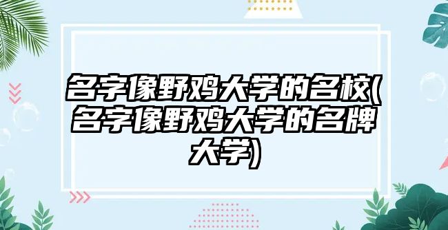 名字像野雞大學的名校(名字像野雞大學的名牌大學)