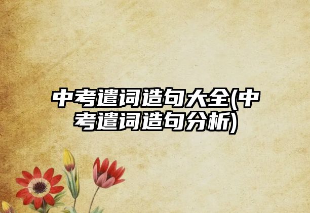 中考遣詞造句大全(中考遣詞造句分析)