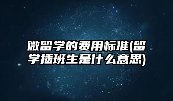 微留學的費用標準(留學插班生是什么意思)