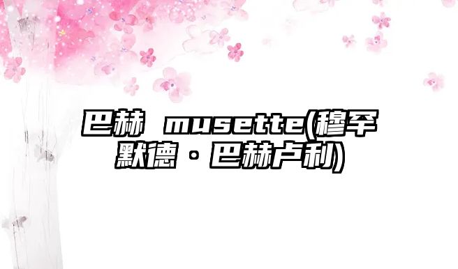 巴赫 musette(穆罕默德·巴赫盧利)