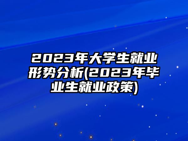 2023年大學(xué)生就業(yè)形勢分析(2023年畢業(yè)生就業(yè)政策)