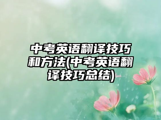 中考英語翻譯技巧和方法(中考英語翻譯技巧總結)