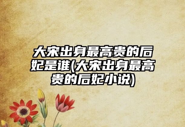 大宋出身最高貴的后妃是誰(大宋出身最高貴的后妃小說)