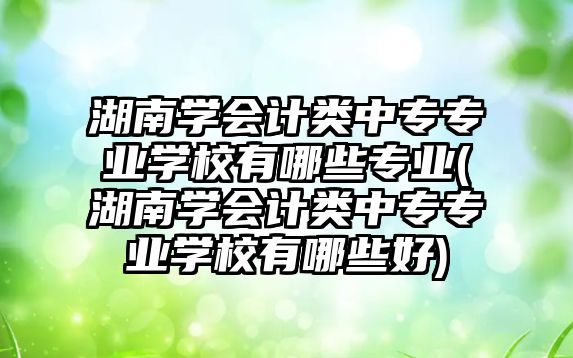 湖南學(xué)會計類中專專業(yè)學(xué)校有哪些專業(yè)(湖南學(xué)會計類中專專業(yè)學(xué)校有哪些好)