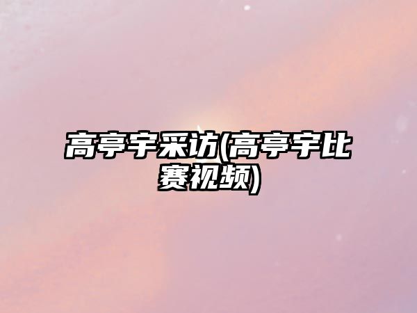 高亭宇采訪(高亭宇比賽視頻)