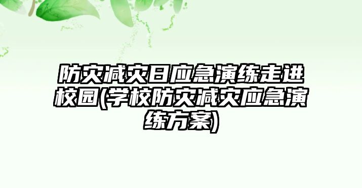 防災減災日應急演練走進校園(學校防災減災應急演練方案)