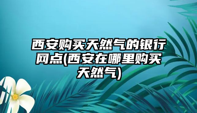 西安購(gòu)買天然氣的銀行網(wǎng)點(diǎn)(西安在哪里購(gòu)買天然氣)