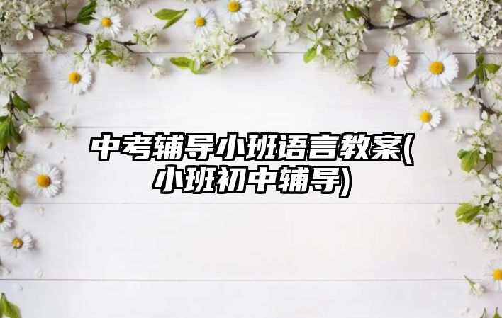 中考輔導小班語言教案(小班初中輔導)