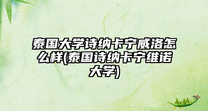 泰國大學詩納卡寧威洛怎么樣(泰國詩納卡寧維諾大學)