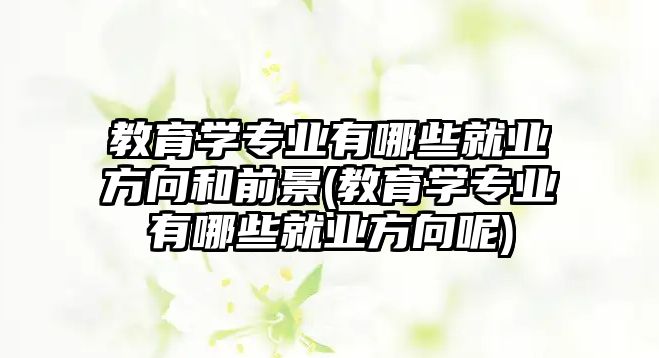 教育學(xué)專業(yè)有哪些就業(yè)方向和前景(教育學(xué)專業(yè)有哪些就業(yè)方向呢)