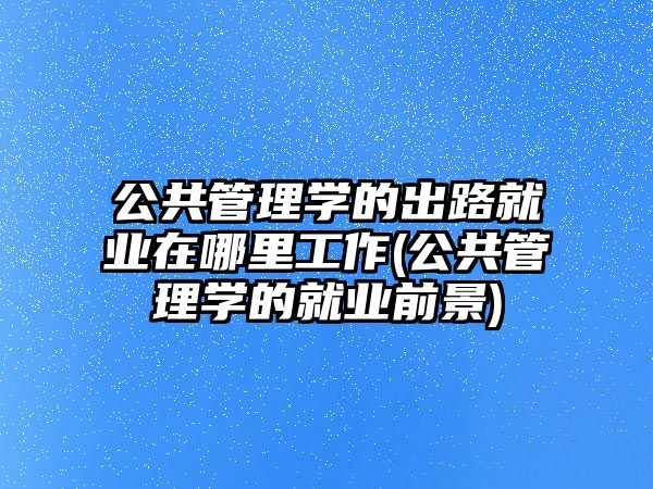 公共管理學(xué)的出路就業(yè)在哪里工作(公共管理學(xué)的就業(yè)前景)