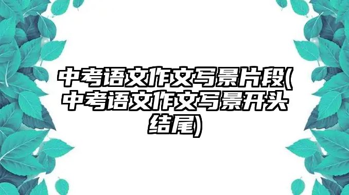 中考語(yǔ)文作文寫景片段(中考語(yǔ)文作文寫景開頭結(jié)尾)